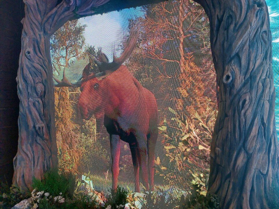 • никита демидов- основатель династии демидовых. Присоединенные земли рюрика 862-879. Царь михаил фёдорович 1613-1645. Георг 5 основатель. Рюрик династия рюриковичей.