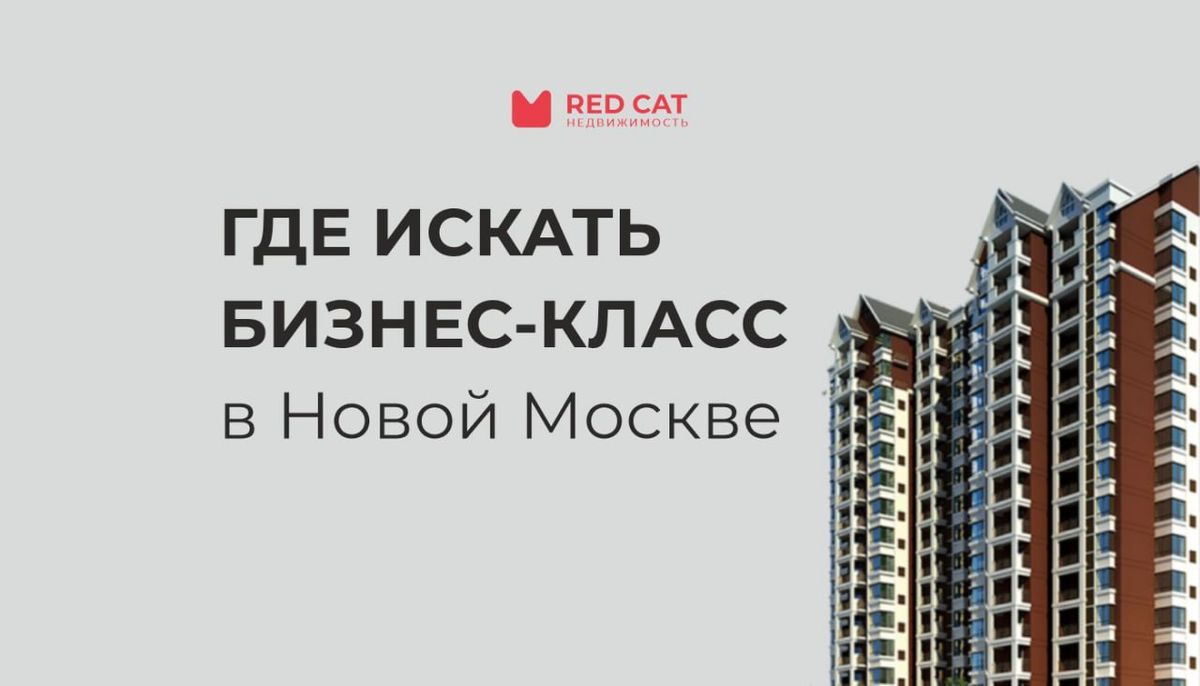 Где искать бизнес-класс в Новой Москве | Red Cat | Дзен