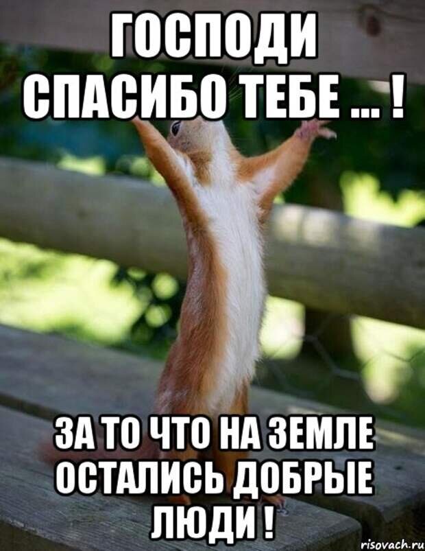 1 и тоже просто. Спасибо добрый человек. Благодарность прикол. Спасибо доюрыйчеловече. Спасибо за заботу