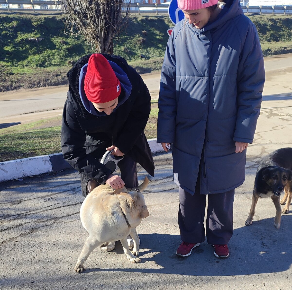 Собачья жизнь 2 фильм 2019 собачья. Генри лау собачья жизнь. Как живут собаки 2. Будка для собаки 2*2. Джонни галэки собачья жизнь 2.