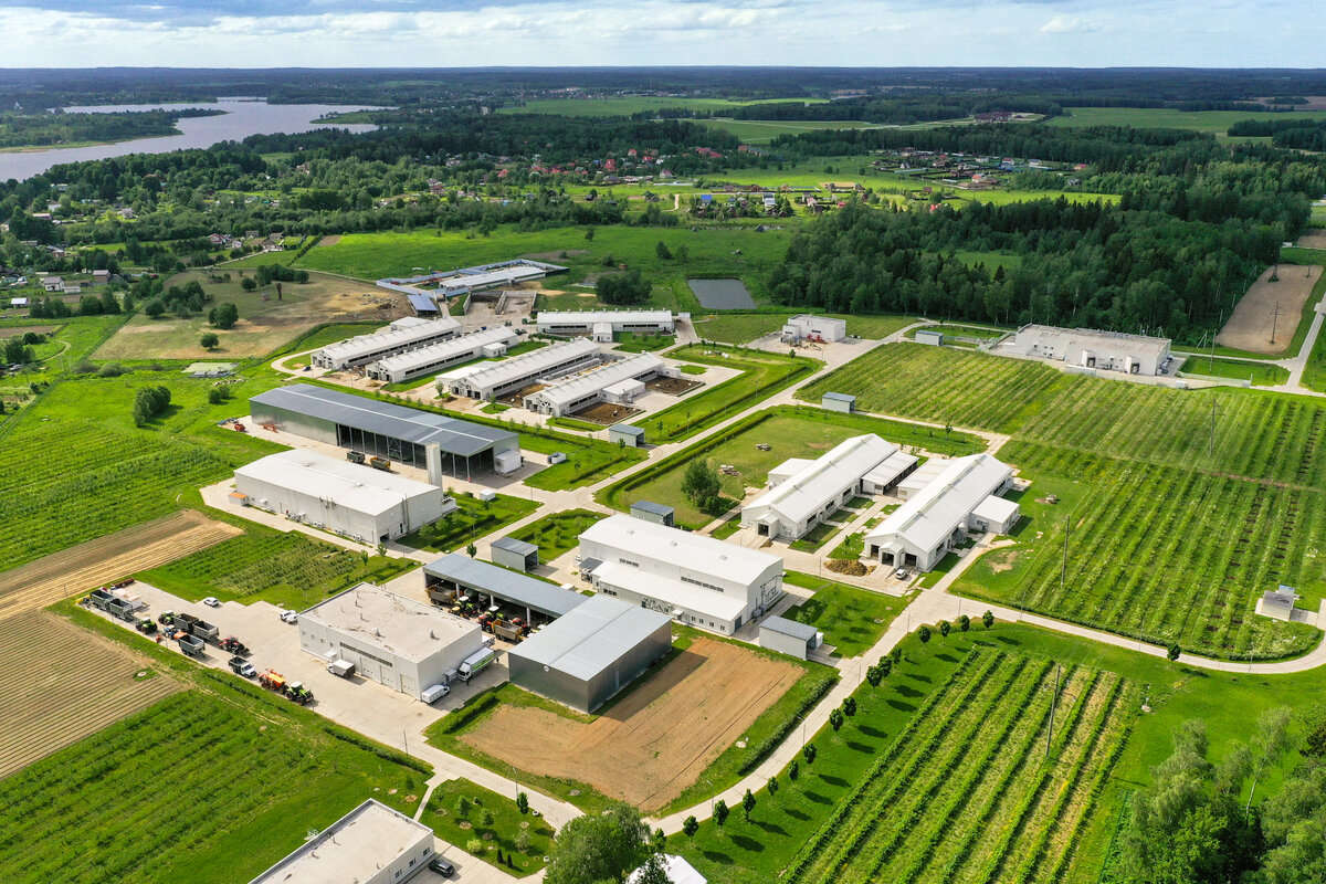 General organics bio root. ароматизатор солнце. Perfect organics продукция. продукты ld organic. продукты ld organic.