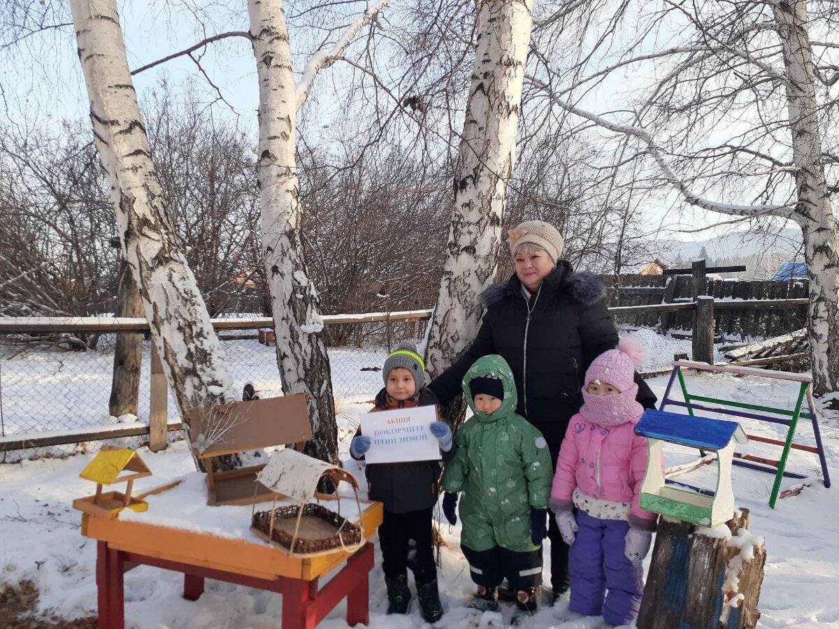 день зимующих птиц россии. тени зимующих птиц. день зимующих птиц старшая группа. зимующие птицы для дошкольников. день зимующих птиц.