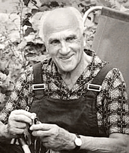 Николай Лебедев