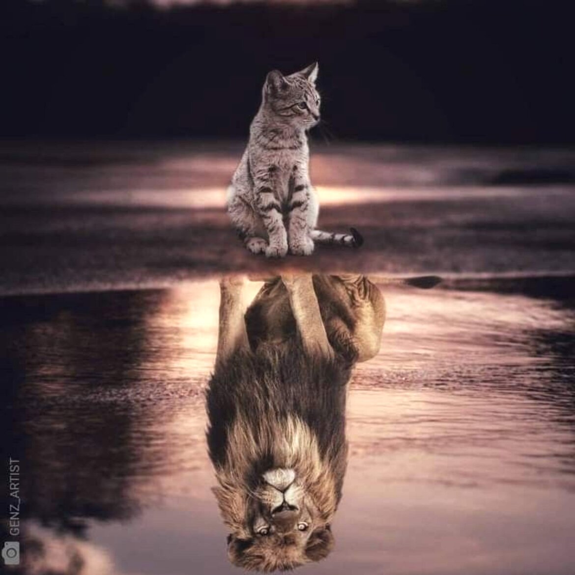 одиночество женщины. советы борьбы со стрессом. мудрые цитаты. худалова мадина. надежда на лучшее будущее.