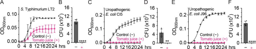    Пептиды tdAMP-1, tdAMP-2 и томатный сок проявили противомикробные свойства в отношении различных кишечных патогенов (A-F) / © Microbiology Spectrum