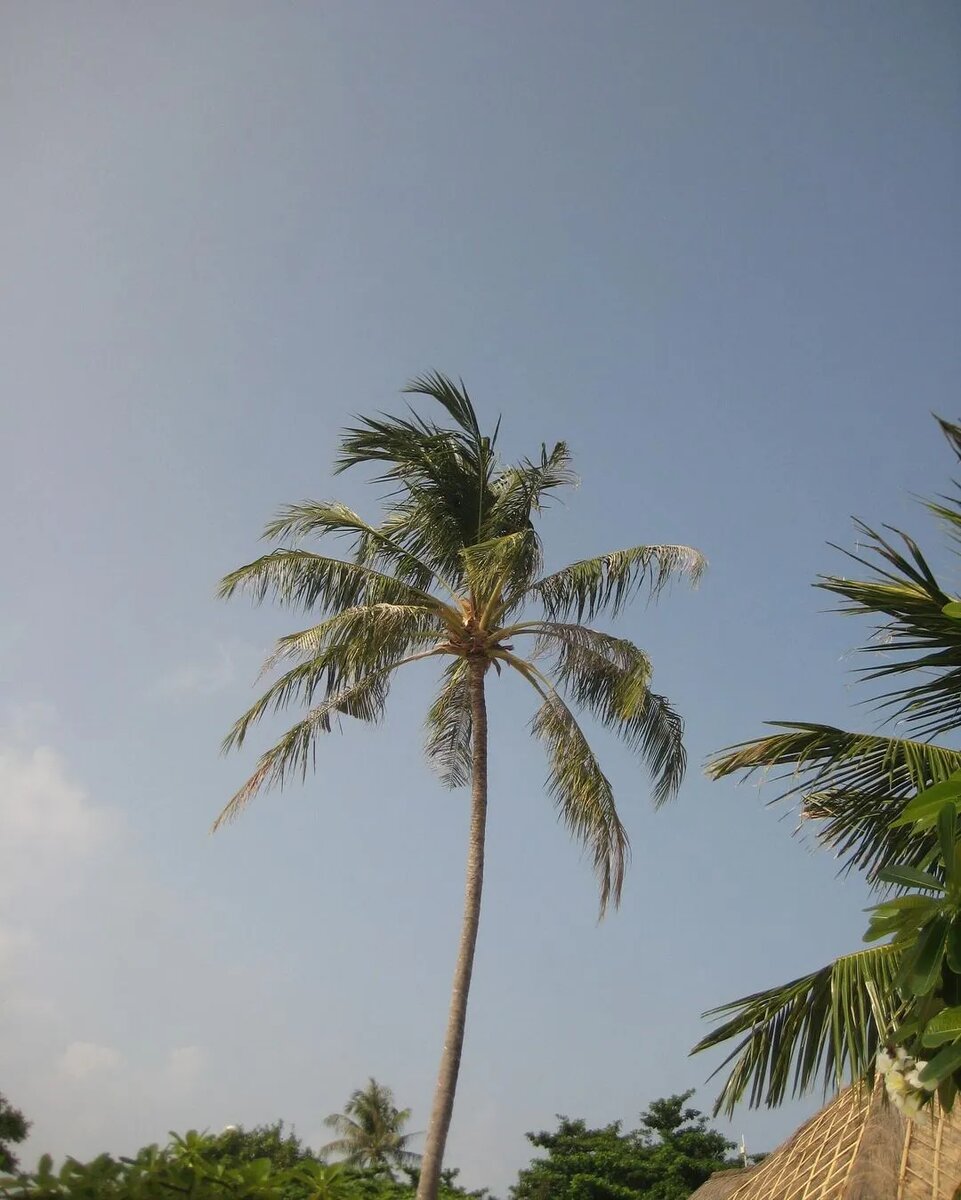  Пока мы стараемся хоть как-то отогреться после морозных вечеров, наши звёздочки времени зря не теряют.-5