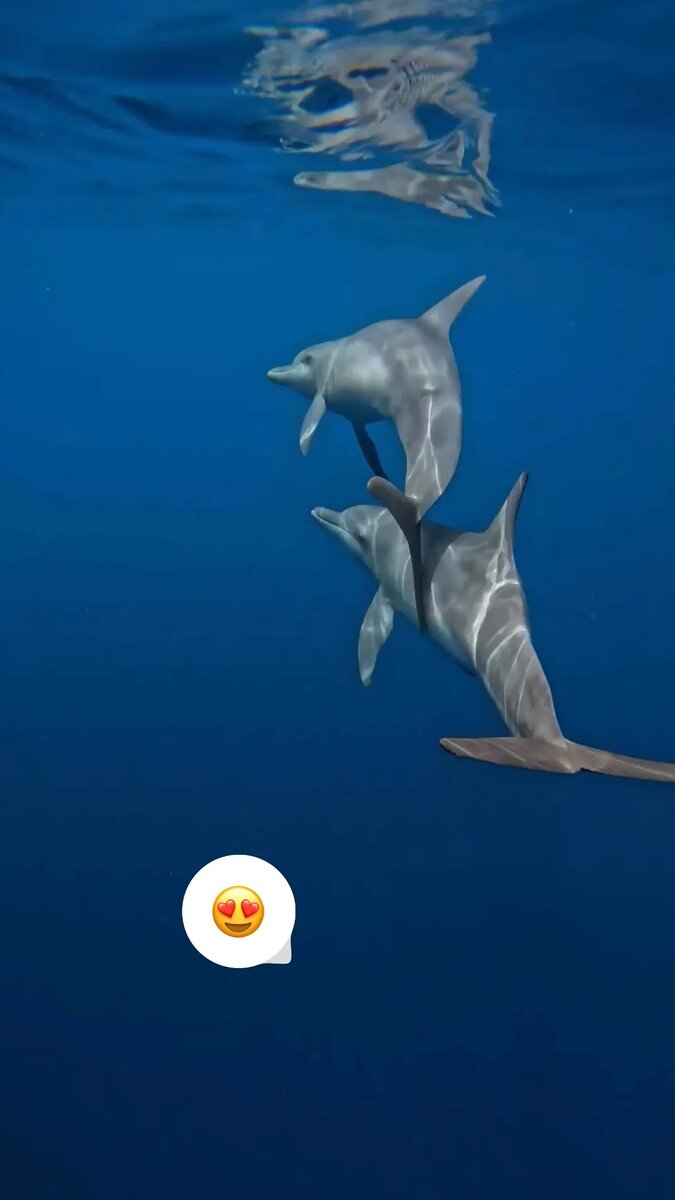  Пока мы стараемся хоть как-то отогреться после морозных вечеров, наши звёздочки времени зря не теряют.-11