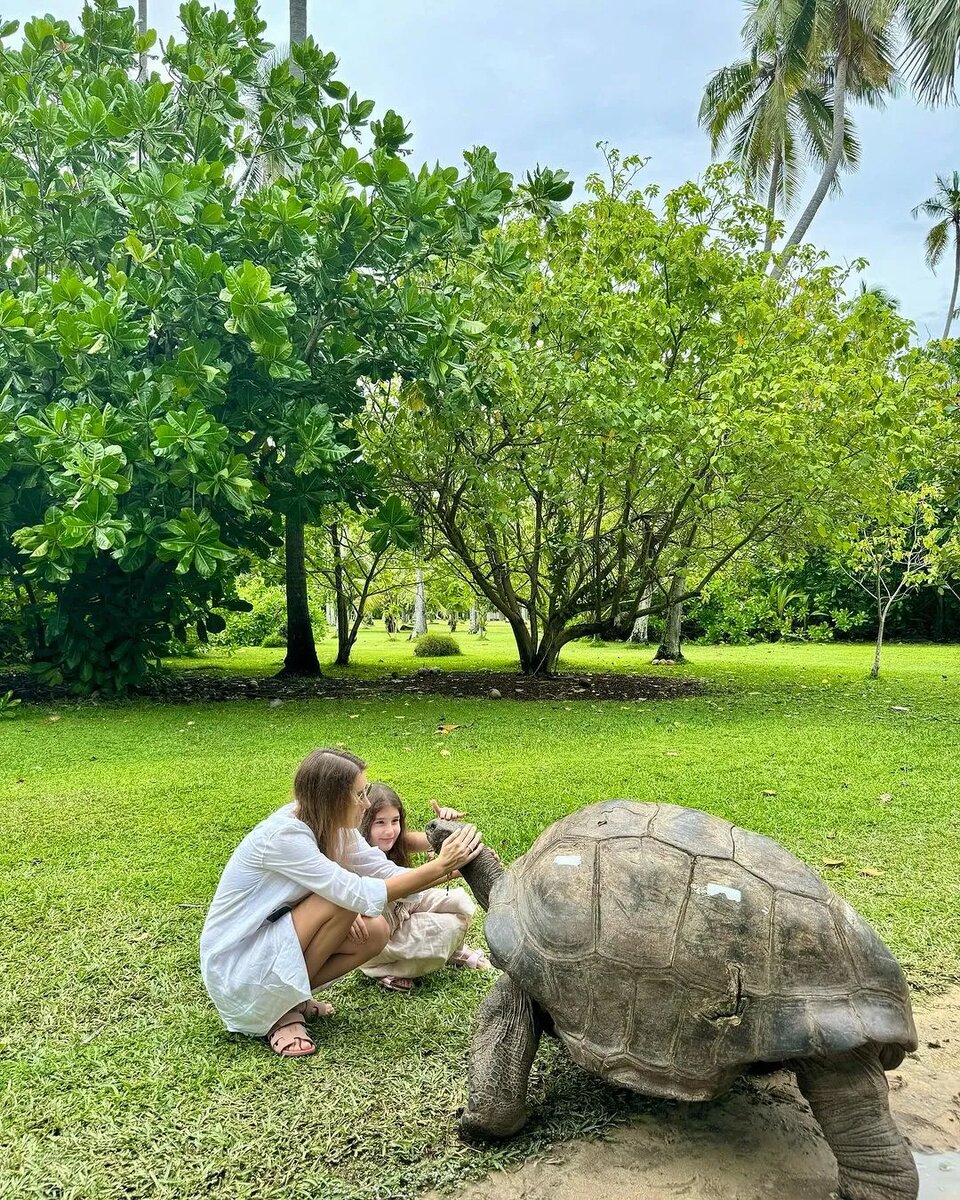  Пока мы стараемся хоть как-то отогреться после морозных вечеров, наши звёздочки времени зря не теряют.-24