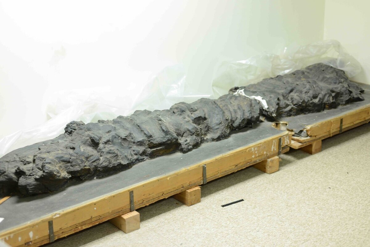 пдк аммиачной селитры. тяжелые металлы в удобрениях. таблица тяжелых металлов. содержание тяжелых металлов в удобрениях. анализ на содержание тяжелых металлов в организме.