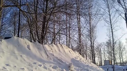 Текст песни следы зверей