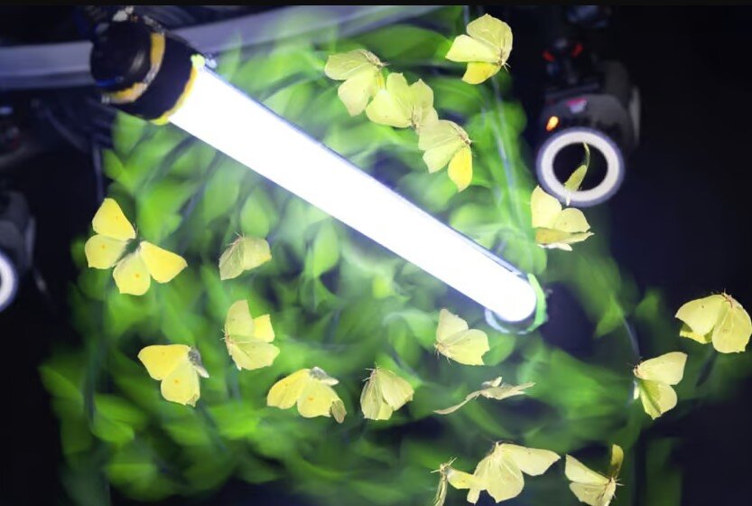 Почему света не дает. Ложась спать погаси свет. Нам дали свет. Опять отключили свет. Стихи про дураков прикольные.