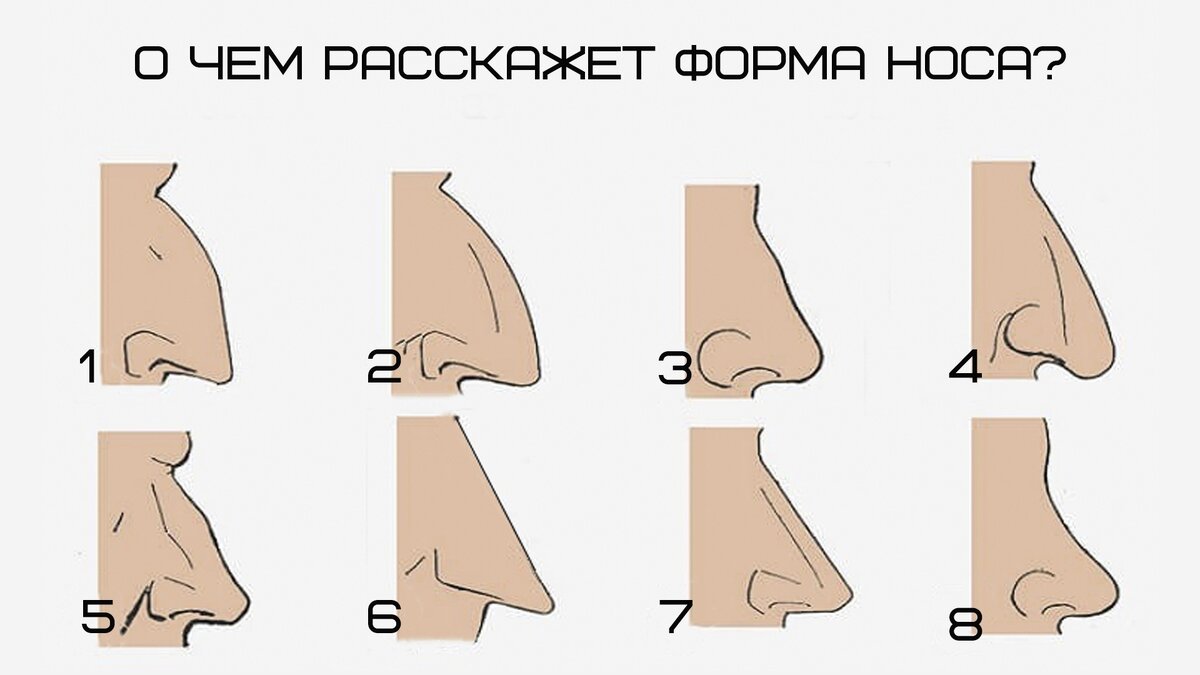 Форма носа и характер