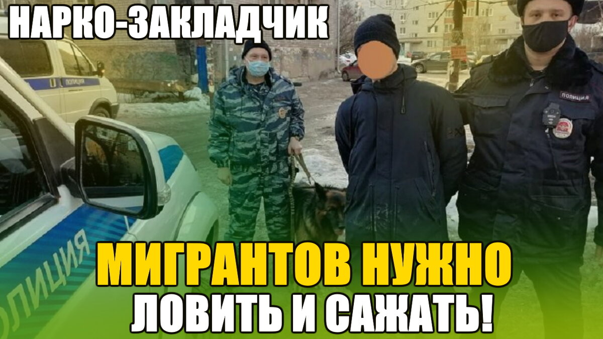 Давай сюда их