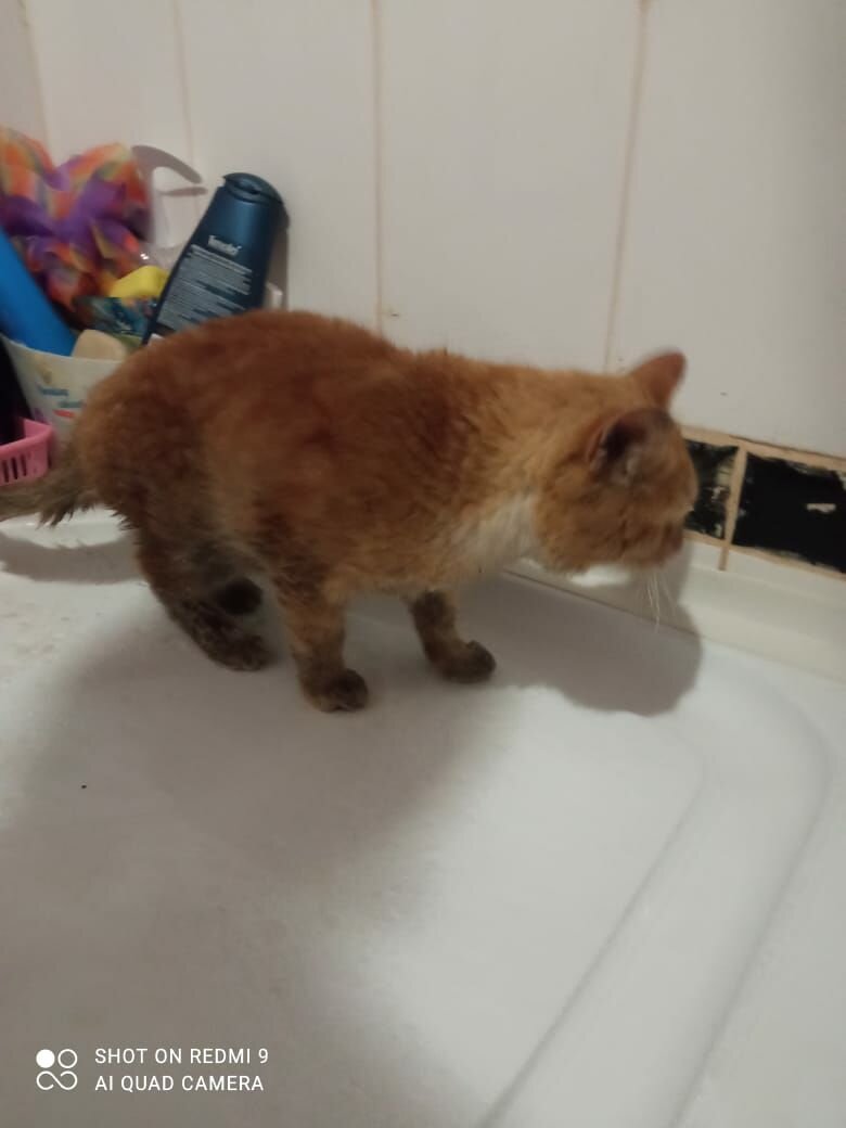 Кто любит жизнь того полюбит жизнь. Жизнь одна и надо жить. Афоризмы про любимую женщину. Море любви. Живите и дышите полной грудью.