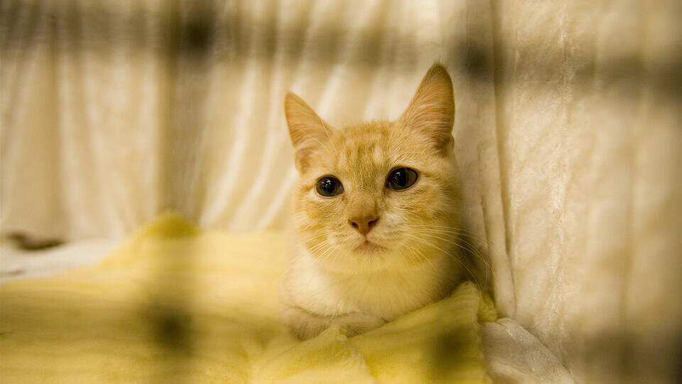 Фото: Global Look Press/Jake Warga/Danita Delimont