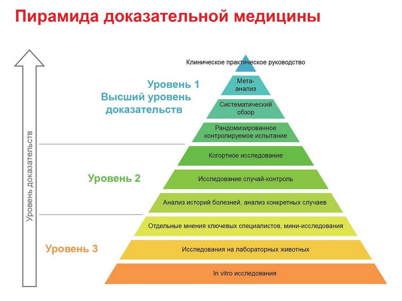 Курпатов марафон похудения