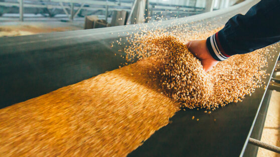   МИД объяснил, чем чреваты попытки ЕС запретить импорт продуктов из России Роман Захаров