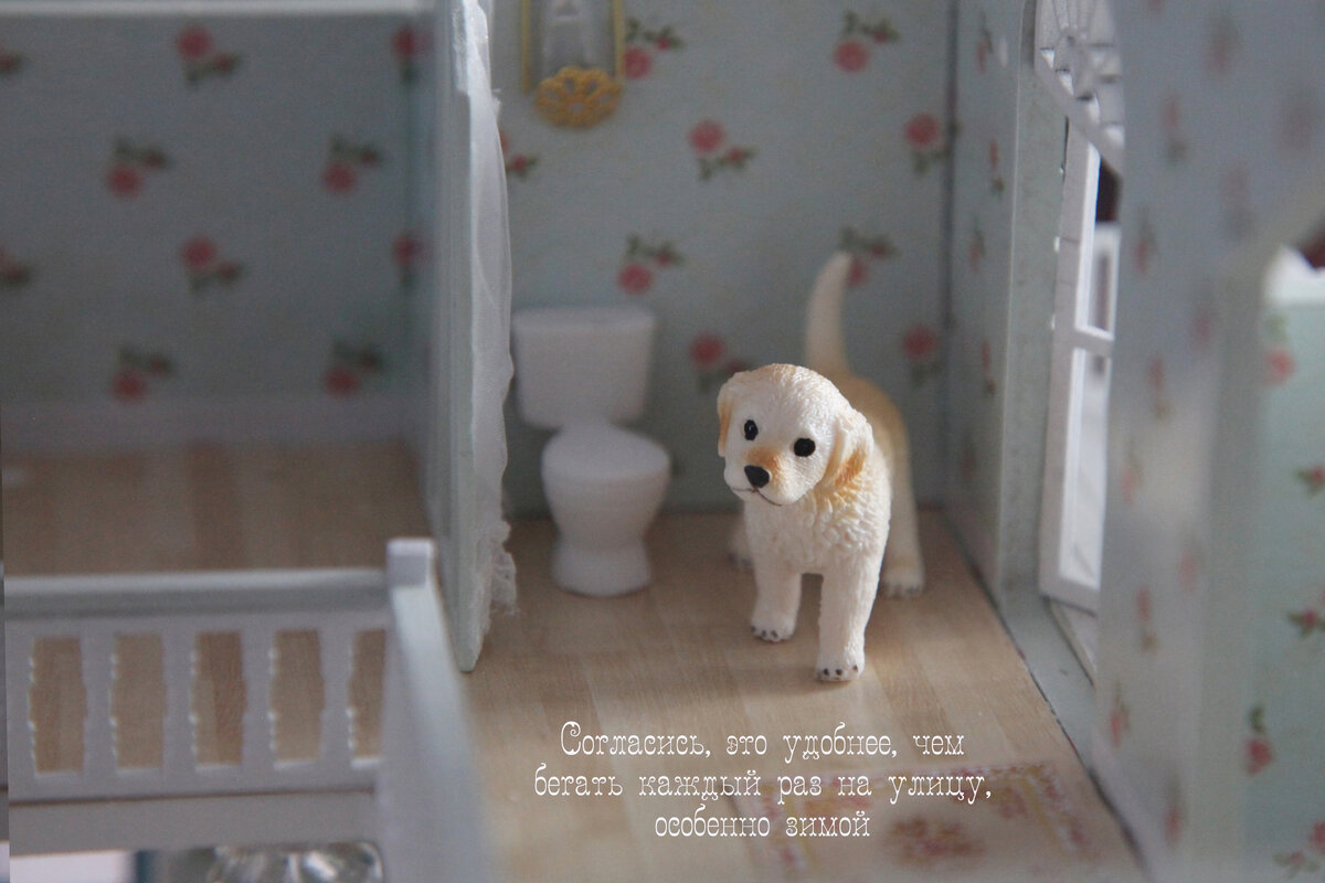 Черный кот ночью. Кот пустота. Грустный черный кот. Одинокий кот. Цитаты про кошек.