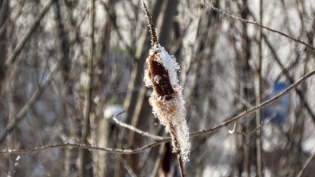Смог в москве 2022. Черное небо в томске. Смог в москве от пожаров. Екатеринбург смог. Смог в екатеринбурге сейчас.