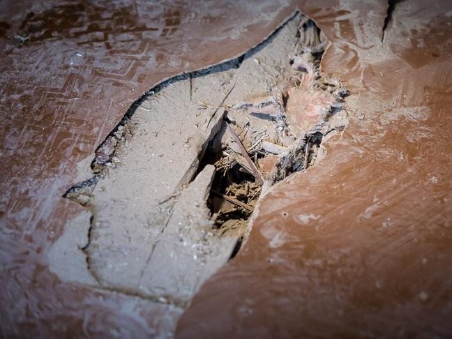 Фото: Павел Колядин