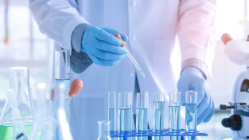 этапы метаболизма схема.