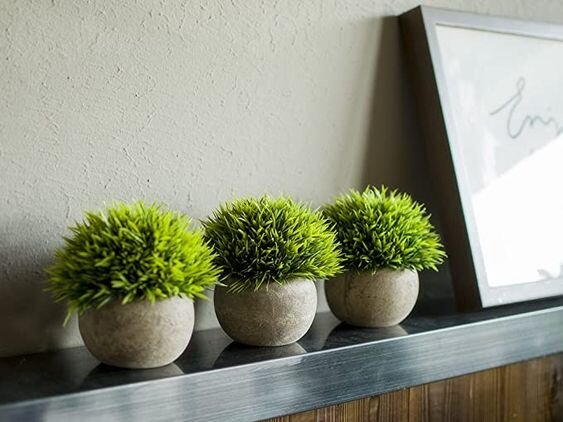 Типа как живые) https://i.pinimg.com/564x/af/db/13/afdb13bc507f0a217d44a2f86e7b8983.jpg