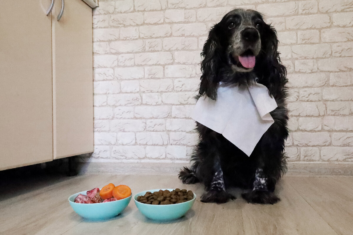 Elena Mayorova/Global Look Press