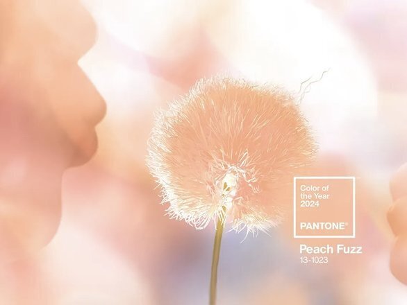 Цвет года по версии Pantone цвет 13-1023 Peach Fuzz (Персиковый Пух) 