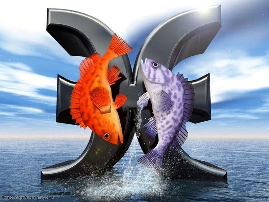 рыба в сбербанке. сбербанк часы работы. работа сбербанк рыбное. работа сбербанк рыбное. рыбный переулок 2 кизляр вайлдберриз.