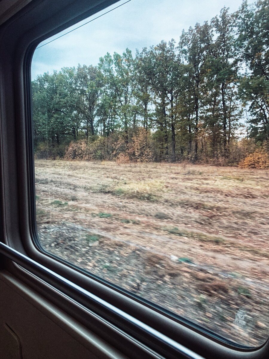 плюсы и минусы самостоятельности. плюсы и минусы республики. последствия ранних браков. минусы раннего брака. причины для раннего вступления в брак.