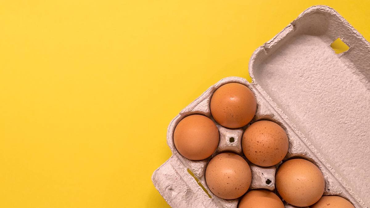    Фото: Shutterstock