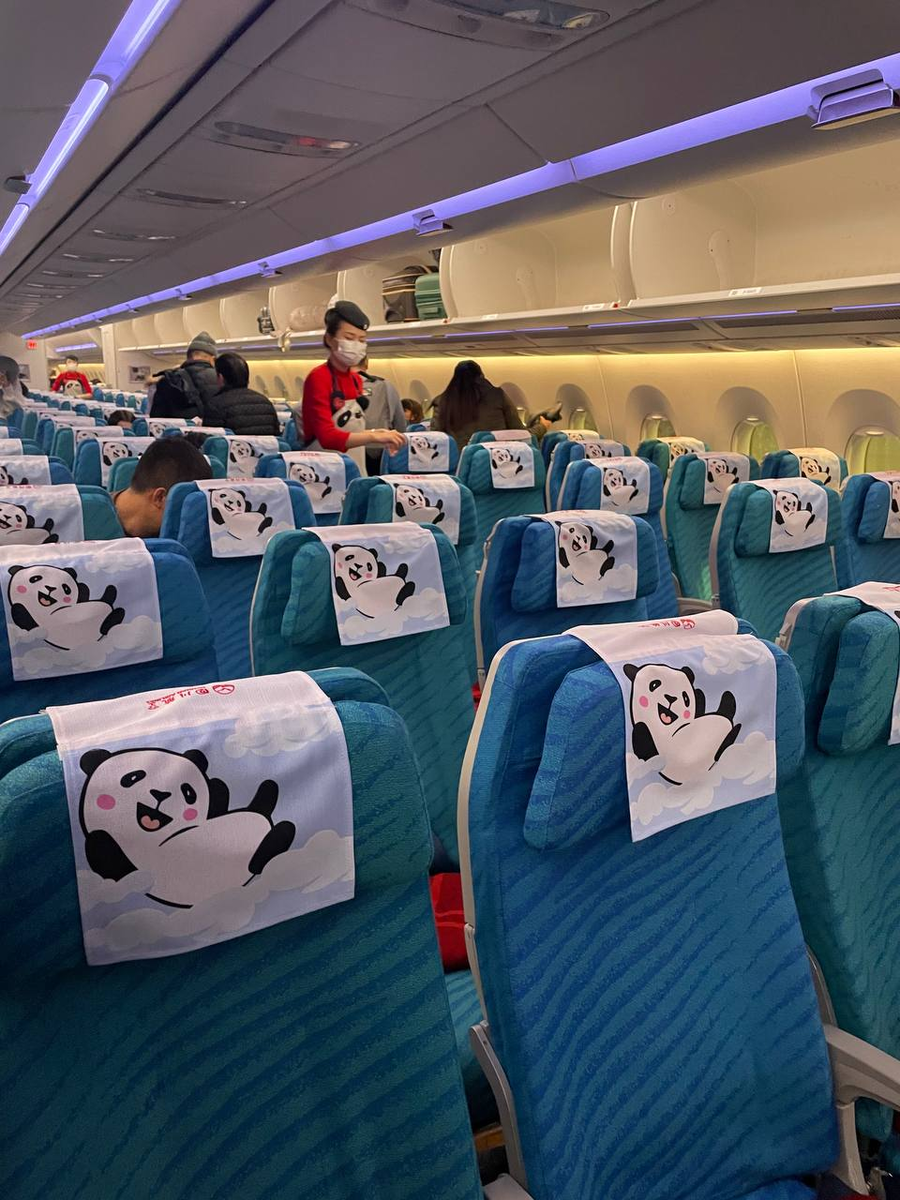 поезд автобус москва-питер. путь из спб в евпаторию на машине. станции до аэропорта домодедово. Amsterdam marathon 2021. самый дешевый способ добраться из москвы в санкт-петербург.