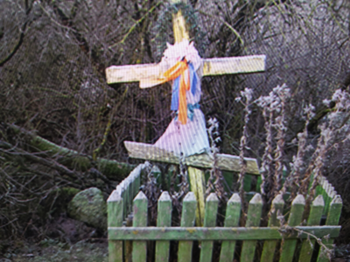 Фото с экрана интернета, во избежание плагиата, так сказать.