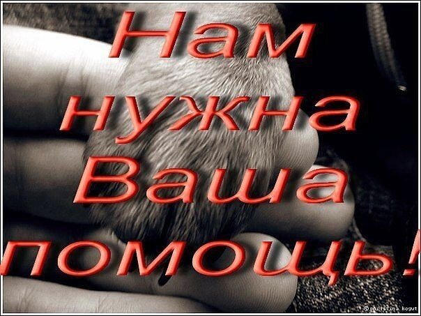 человек за компьютером. надо помощь в работе. надо помощь в работе. надо помощь в работе. вакансия грузчик.