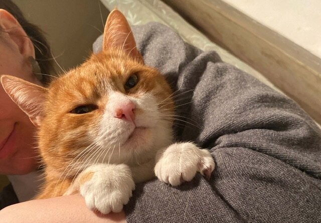 Дисфагия неврология. Чувствую слюну. Вкусовые ощущения человека. Повышенное слюнотечение причины. Чувствую слюну.