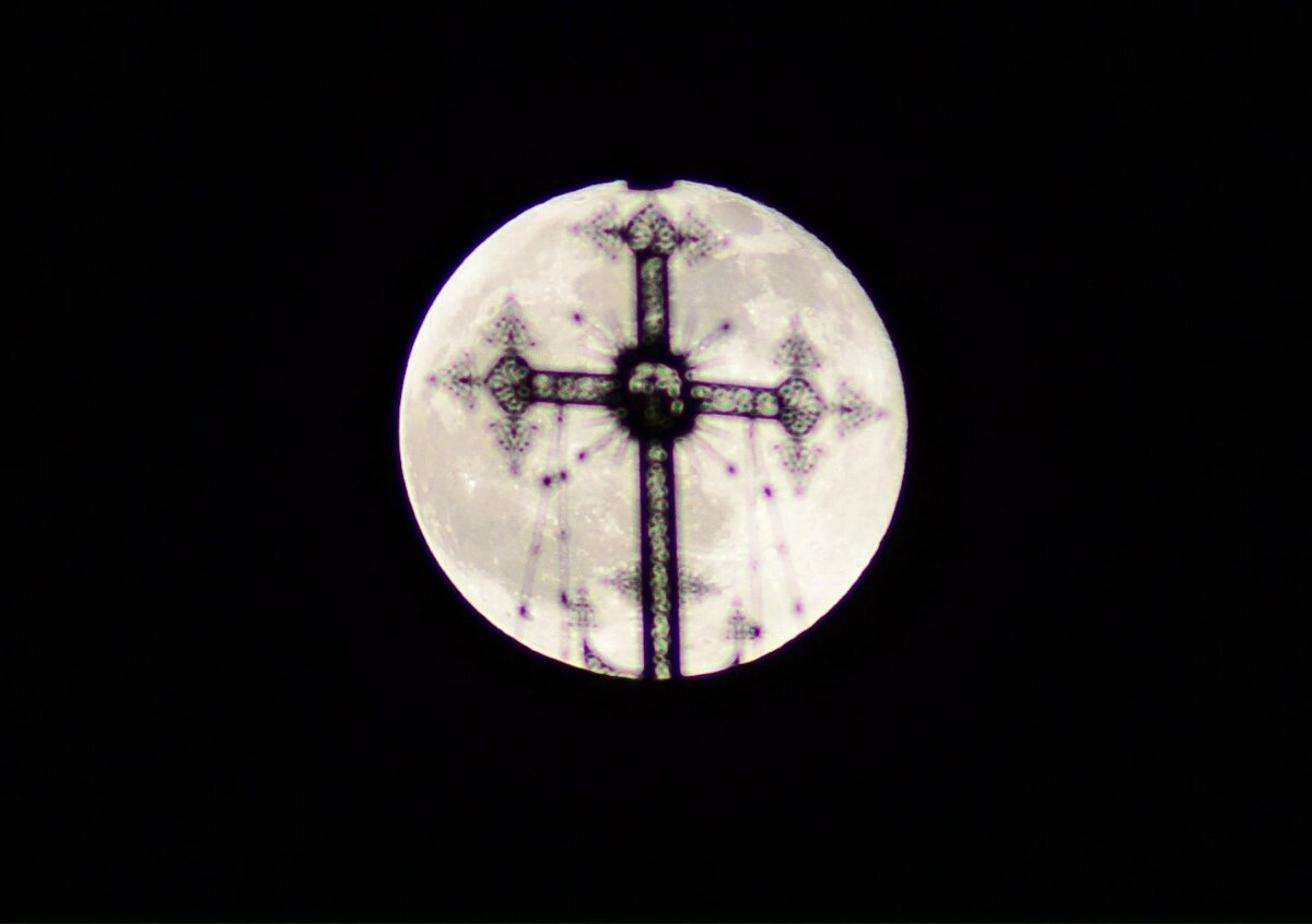 Фото: Ксения Кудашкина. 