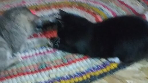 эльдар рязанов старые клячи. дзен старые клячи канал меняют. клячи фильм. гурченко и крючкова. светлана крючкова старые клячи.