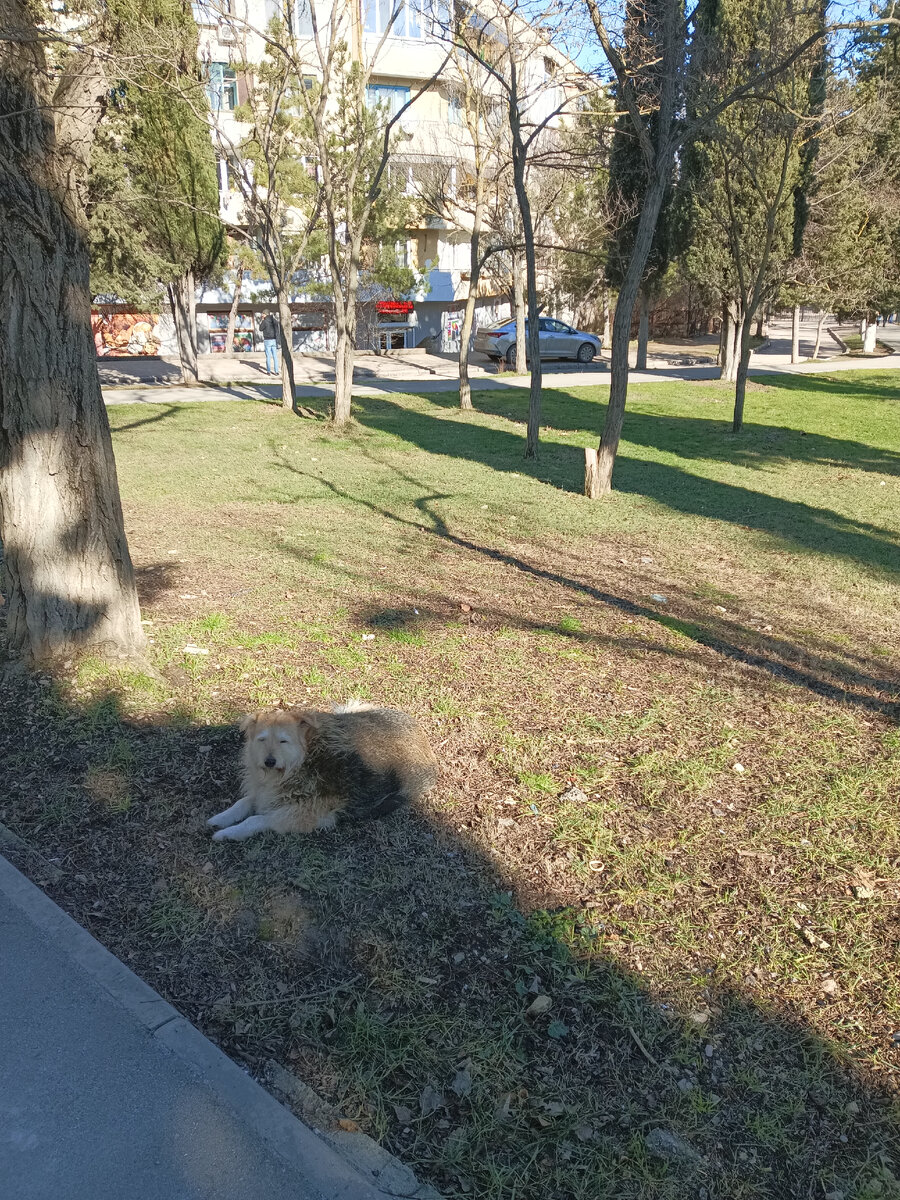 Она живет на этом свете давно