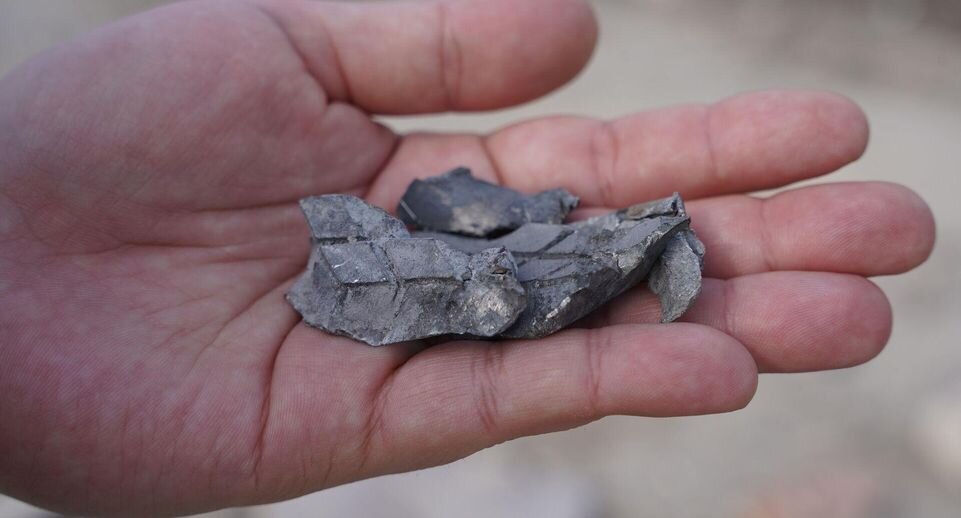    РИА «Новости»