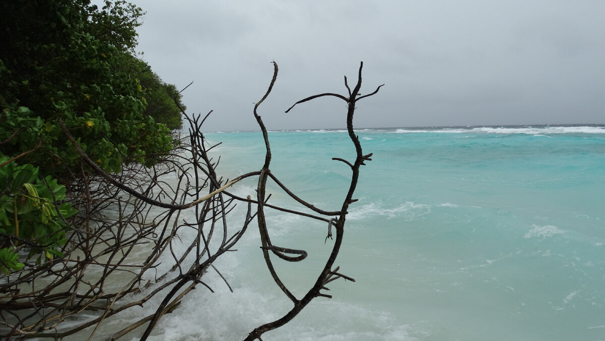 проливной дождь. легкий ливень. дождь дети радость. сильный дождь. дождь начнет.