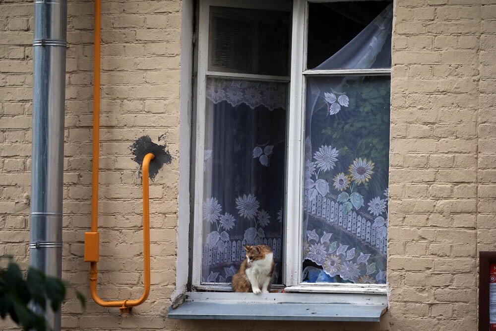 Современный дом. Дом с большими окнами. Модульный дом тини хаус. Руки домиком. Красивые коттеджи.