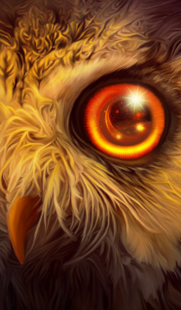 фото из интернета