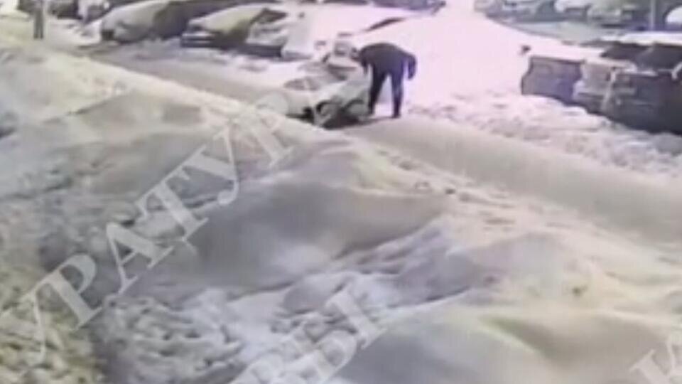 Фото: © Скриншот видео