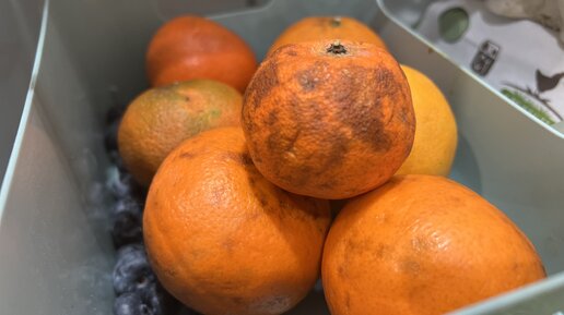 Мандарины много есть можно. Мандарины много есть можно. Китайские мандарины маленькие. Мандарины из турции. Мандарины много есть можно.