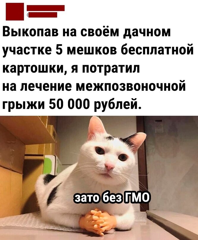 Аналогичной должности. Опыт аналогичных работ. Аналогичный опыт работы по должности. Опыт аналогичных работ. Аналогичная работа.