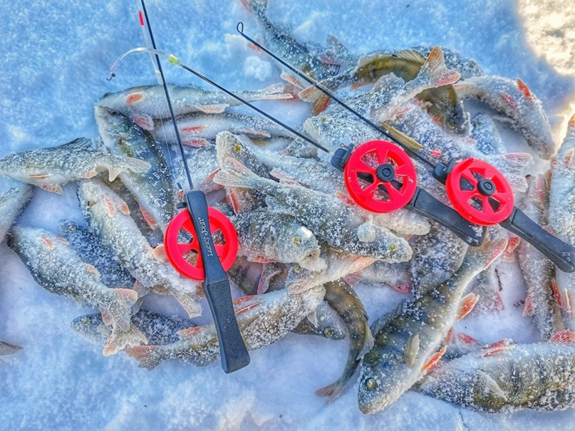 Рыба прикол. Рыболовные приметы. Всегда ловлю. Рыбак демотиватор. Рыбалка для души.
