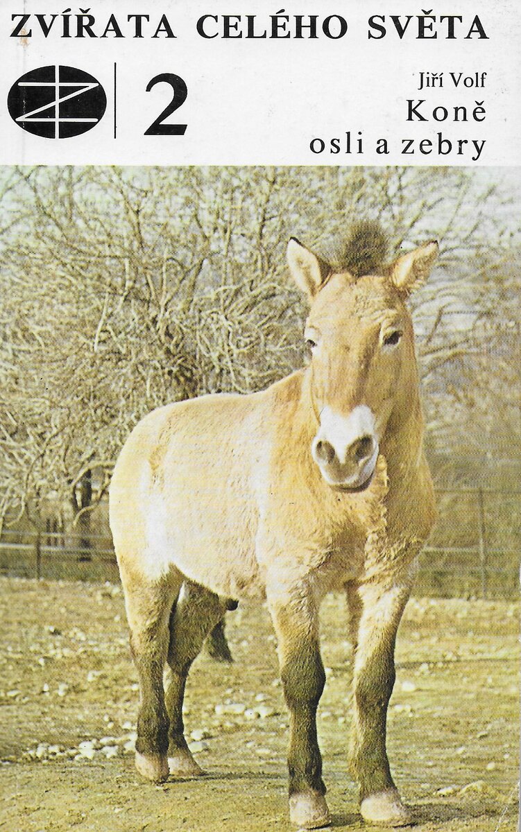 На обложке любимая лошадь автора - Пржевальского.