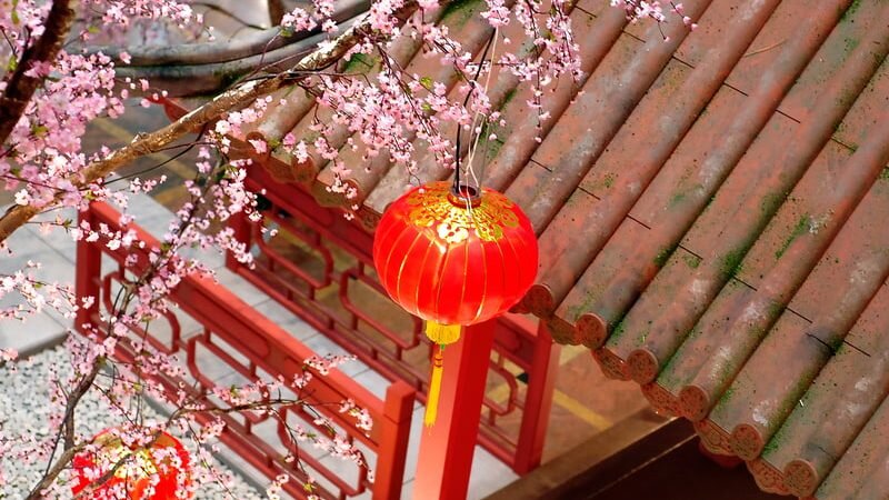 Ван Юньцзинь откровенно признался, что ошибся картой во время игры с друзьями, впечатлив Императора своей честностью. (Image: Ijansempoi via Dreamstime)