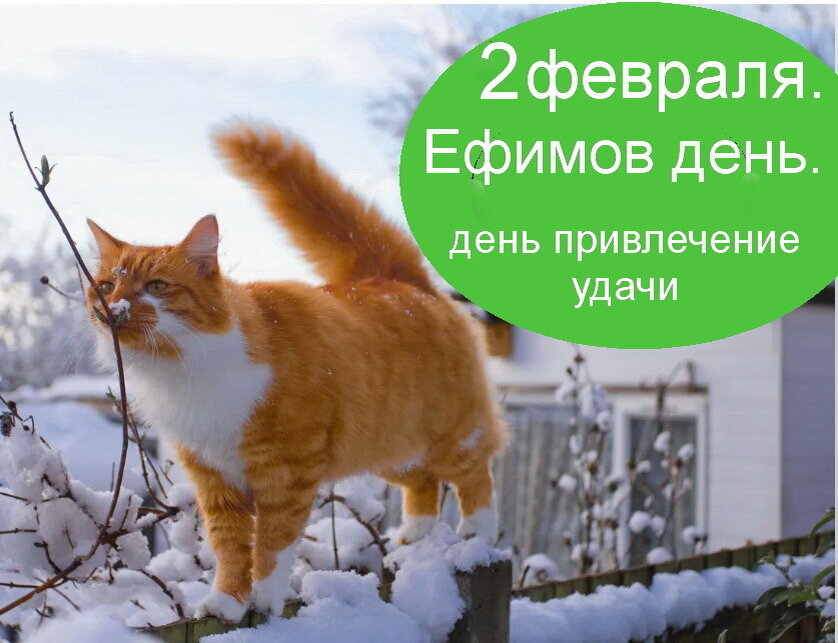 Источник : Яндекс  картинки.