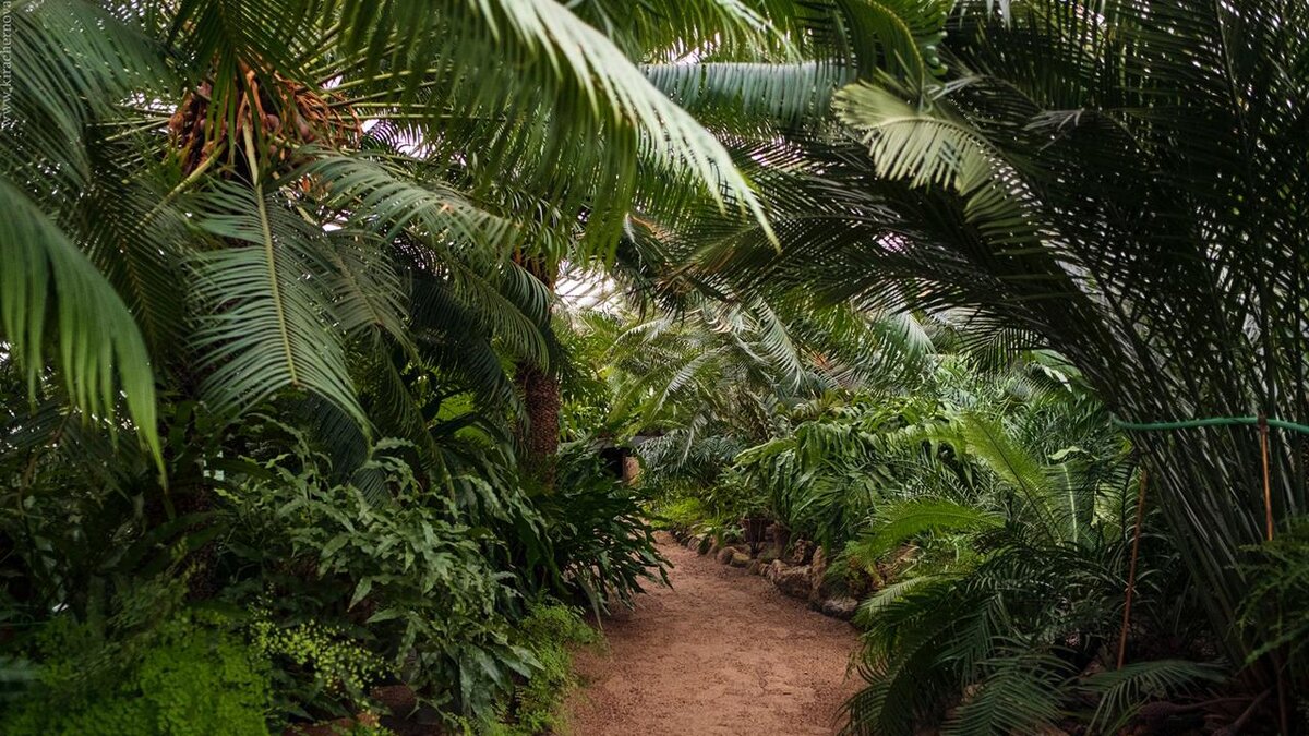 Москва вид с крыши. Осень в городе. Раннее утро в москве. Парк чайковского воткинск. Москва осенью.